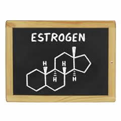 estrogen